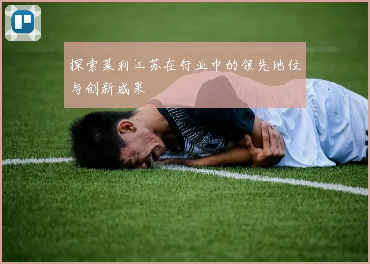 探索莱利江苏在行业中的领先地位与创新成果